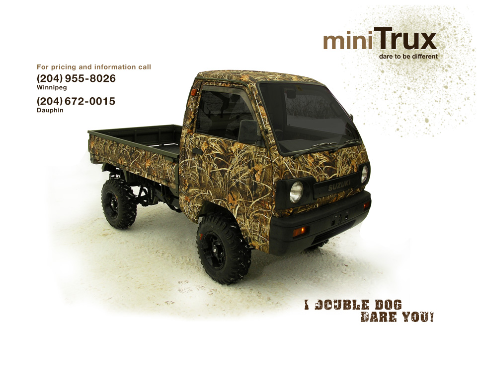 Camo mini truck with quad tirs and tinted windows